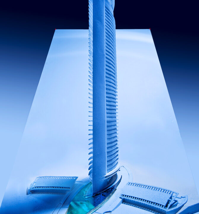 Fin